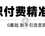 玩转知识付费项目精准引流，给你1套课多账号操作落地方案！-无痕资源库