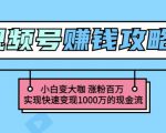 玩转微信视频号赚钱：小白变大咖涨粉百万实现快速变现1000万的现金流-无痕资源库