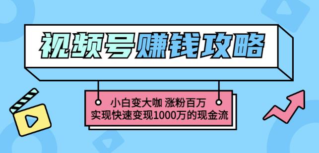 玩转微信视频号赚钱：小白变大咖涨粉百万实现快速变现1000万的现金流-无痕资源库