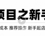 虚拟项目快速起店模式，0成本打造月入几万虚拟店铺！-无痕资源库