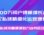 8000万用户规模增长方法论私域精细化运营增长，私域流量硬课助力业务跃迁-无痕资源库