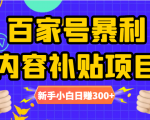 百家号暴利内容补贴项目，图文10元一条，视频30一条，新手小白日赚300+-无痕资源库