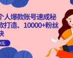 小红书个人爆款账号速成秘籍,爆款打造、10000+粉丝引流秘诀-无痕资源库