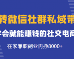 玩转微信社群私域带货，学会就能赚钱的社交电商，在家兼职副业再挣8000+-无痕资源库