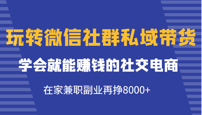 玩转微信社群私域带货，学会就能赚钱的社交电商，在家兼职副业再挣8000+-无痕资源库