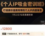 个人IP吸金密训班,打造高价值高效率的个人IP内容体系(价值12800元)-无痕资源库