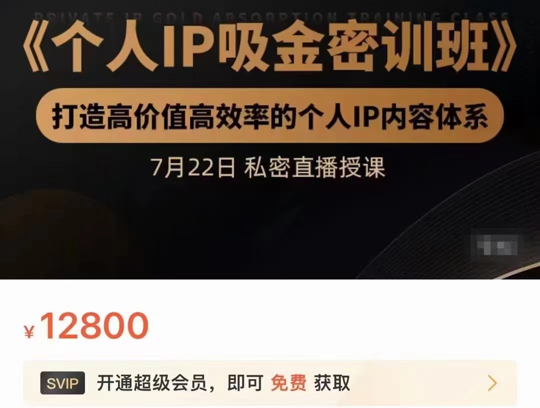个人IP吸金密训班,打造高价值高效率的个人IP内容体系(价值12800元)-无痕资源库