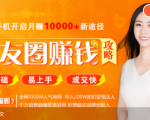 全网千万人气导师亲授：零基础/易上手的朋友圈赚钱攻略，让你轻松月入过万-无痕资源库