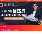 0粉0作品自然流正价起号及稳号全教程，专业自然流起号机构流程化教学（价值2980元）-无痕资源库