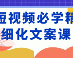 短视频必学精细化文案课，提升你的内容创作能力、升级迭代能力和变现力（价值333元）-无痕资源库