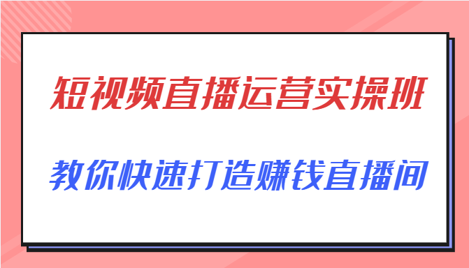 短视频直播运营实操班，直播带货精细化运营实操，教你快速打造赚钱直播间-无痕资源库