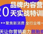 《内容营销实操特训营》20天让你营销能力脱胎换骨（价值3999）-无痕资源库