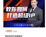 教你如何打造超级IP，抖音流量红利新机遇（价值980元）-无痕资源库