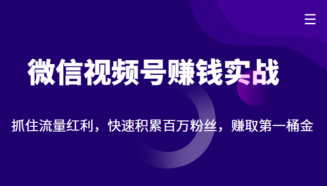 微信视频号赚钱实战：抓住流量红利，快速积累百万粉丝，赚取你的第一桶金-无痕资源库