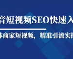 抖音短视频Seo搜索排名优化新手快速入门教程，实体商家短视频，精准引流实操课-无痕资源库