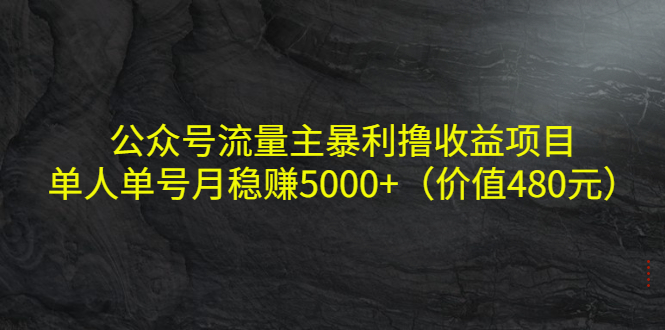 公众号流量主暴利撸收益项目，单人单号月稳赚5000+（价值480元）-无痕资源库