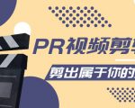 PR视频剪辑课：各种剪辑与视频特效玩法，剪出属于你的大片-无痕资源库