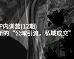 新媒体IP内训营(12期)，一套全新的“公域引流，私域成交”IP打法，直接带走-无痕资源库