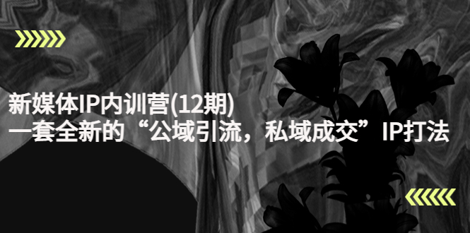 新媒体IP内训营(12期),一套全新的“公域引流,私域成交”IP打法,直接带走-无痕资源库