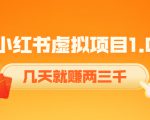 《小红书虚拟项目1.0》账号注册+养号+视频制作+引流+变现,几天就赚两三千-无痕资源库