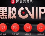 网易云音乐撸黑胶年卡及变现方法，收益可无限放大-无痕资源库