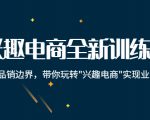 兴趣电商全新训练营：打破品销边界，带你玩转“兴趣电商“实现业务增长-无痕资源库