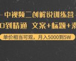 中视频二创解说训练营：从0到精通 文案+标题+素材、月入5000到5W-无痕资源库