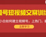 视频号短视频文案训练营：0基础小白如何建立视频号，上热门，能卖货！-无痕资源库
