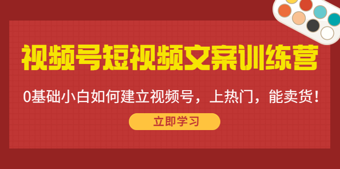 视频号短视频文案训练营：0基础小白如何建立视频号，上热门，能卖货！-无痕资源库