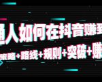 普通人如何在抖音赚到钱：策略 路线 规则 突破 赚钱（10节课）-无痕资源库