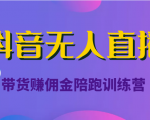 抖音无人直播带货赚佣金陪跑训练营（价值6980元）-无痕资源库