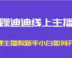 暴躁迪迪线上主播课，金牌主播教新手小白如何开播-无痕资源库
