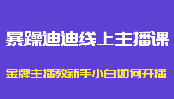 暴躁迪迪线上主播课，金牌主播教新手小白如何开播-无痕资源库