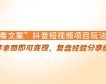 “毒文案”抖音短视频项目玩法，小程序拿图即可变现，复盘经验分享给大家-无痕资源库