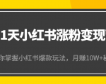 21天小红书涨粉变现营(第4期):带你掌握小红书爆款玩法,月赚10W+秘密-无痕资源库