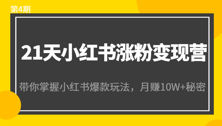 21天小红书涨粉变现营（第4期）：带你掌握小红书爆款玩法，月赚10W+秘密-无痕资源库