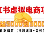 小红书虚拟电商项目：从小白到精英 月收益5000到30000 (视频课程+交付手册)-无痕资源库