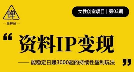 资料IP变现,能稳定日赚3000起的持续性盈利玩法-无痕资源库