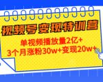 21天视频号变现特训营：单视频播放量2亿+3个月涨粉30w+变现20w+（第14期）-无痕资源库