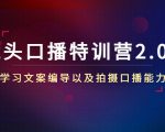镜头口播特训营2.0版，学习文案编导以及拍摄口播能力（50节课时）-无痕资源库