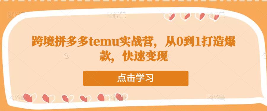 跨境拼多多temu实战营，从0到1打造爆款，快速变现-无痕资源库