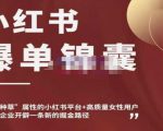 小红书爆单锦囊，自带种草属性+高质量女性用户，为你的企业开辟一条新的掘金路径-无痕资源库