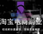蓝Sir派·淘宝短视频快速起店，替代传统搜索方式，学会做一个不一样的淘宝店-无痕资源库