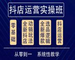 他创传媒·抖音小店系统运营实操课，从零到一系统性教学，抖店日出千单保姆级讲解-无痕资源库