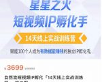 瑶瑶·自然流短视频IP孵化第二期，14天线上实战训练营，赋能100个人成为有数据能赚钱的独立IP孵化手-无痕资源库
