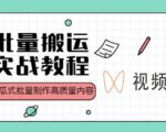 视频号批量搬运实战操作运营赚钱教程，傻瓜式批量制作高质量内容【附视频教程+PPT】-无痕资源库