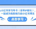 厦九九小红书学习年卡（全年IP孵化），沉浸式学习，一起成为有影响力的小红书博主-无痕资源库