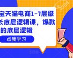 大圣淘宝天猫电商1-7层级盈利增长底层逻辑课，爆款的底层逻辑-无痕资源库