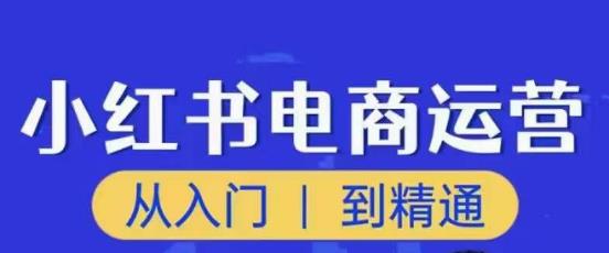 顽石小红书电商高阶运营课程，从入门到精通，玩法流程持续更新-无痕资源库