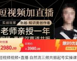 张越·短视频+直播，自然流三频共振起号实操课，​短视频所有流量玩法讲解-无痕资源库